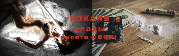 кокс Алексин