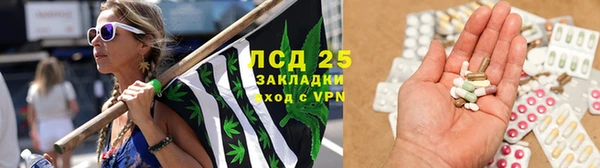 ПСИЛОЦИБИНОВЫЕ ГРИБЫ Алзамай