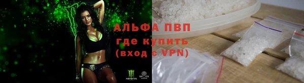 ПСИЛОЦИБИНОВЫЕ ГРИБЫ Алзамай