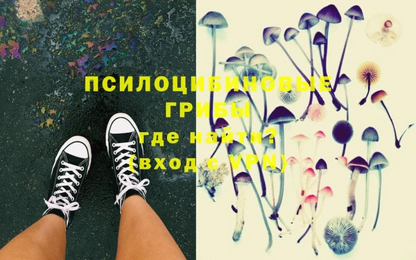 ПСИЛОЦИБИНОВЫЕ ГРИБЫ Алзамай