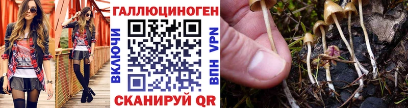 Галлюциногенные грибы мухоморы  Кашира 